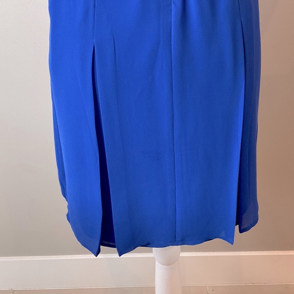 Naked Zebra Dress - Picture 5 of 5